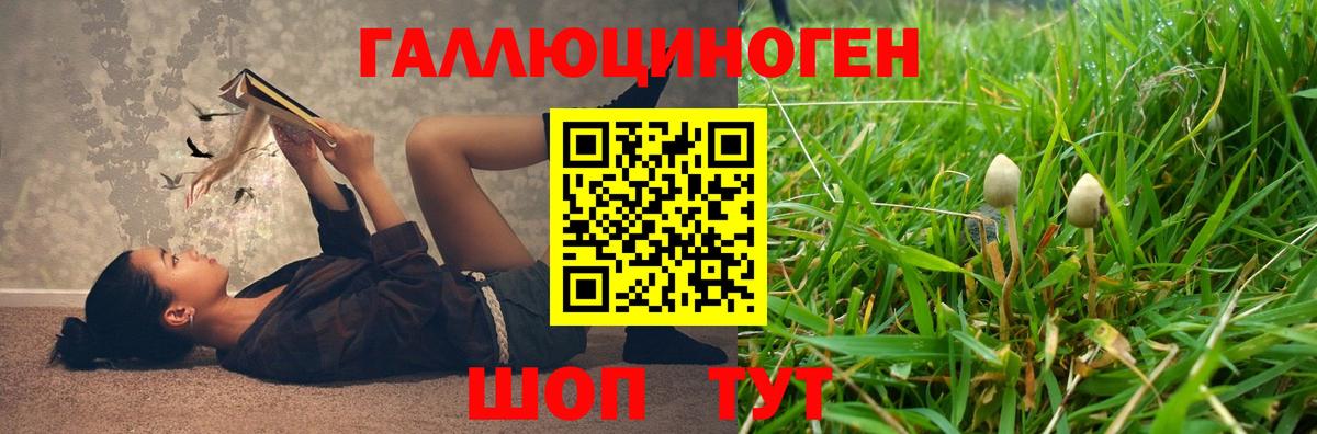 сколько стоит  Галлюциногенные грибы MAGIC MUSHROOMS  Вход с VPN  Советский 