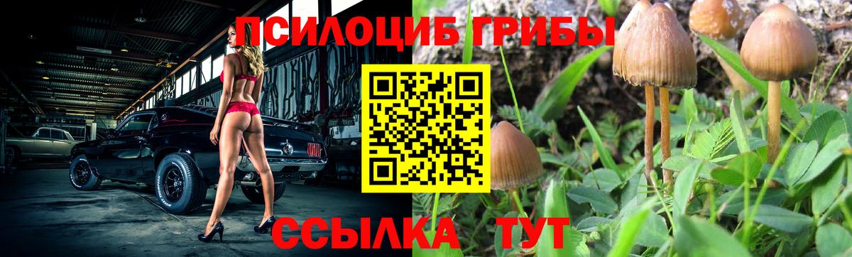 Псилоцибиновые грибы мицелий Советский